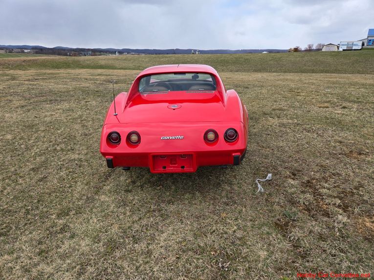 Chevrolet-Corvette-1975-red-tan-2