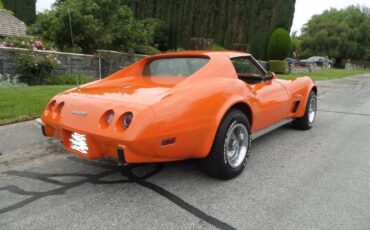Chevrolet-Corvette-1976-11