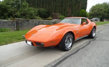 Chevrolet-Corvette-1976-2