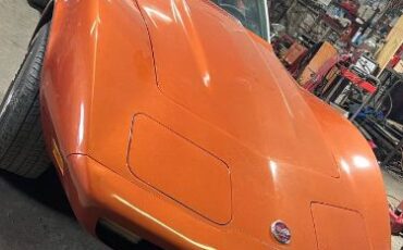 Chevrolet-Corvette-1976-3