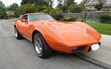 Chevrolet-Corvette-1976-3