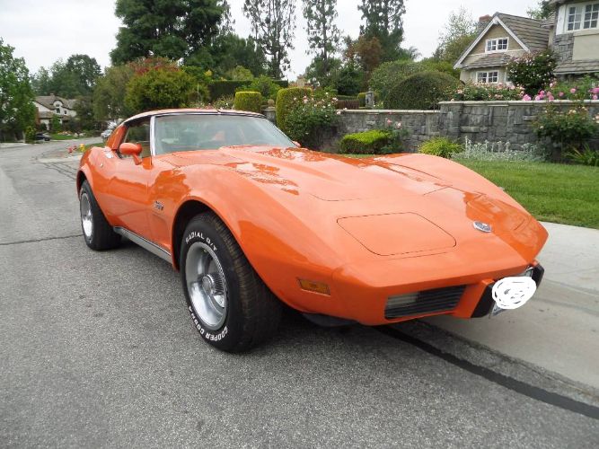 Chevrolet-Corvette-1976-3