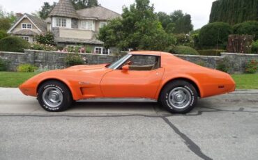 Chevrolet-Corvette-1976-31