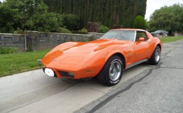 Chevrolet-Corvette-1976-4