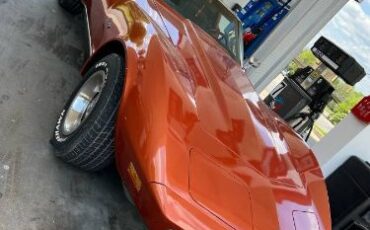 Chevrolet-Corvette-1976-5