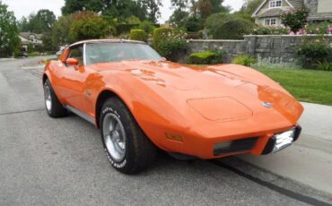 Chevrolet-Corvette-1976-8