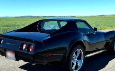 Chevrolet-Corvette-1976-Black-Dark-Red-10