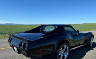 Chevrolet-Corvette-1976-Black-Dark-Red-11