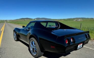 Chevrolet-Corvette-1976-Black-Dark-Red-12