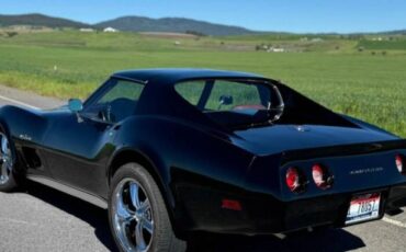 Chevrolet-Corvette-1976-Black-Dark-Red-13