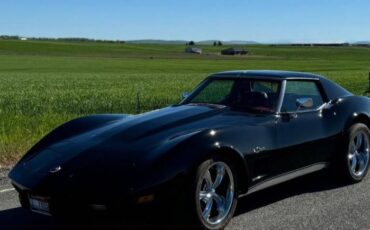 Chevrolet-Corvette-1976-Black-Dark-Red-14