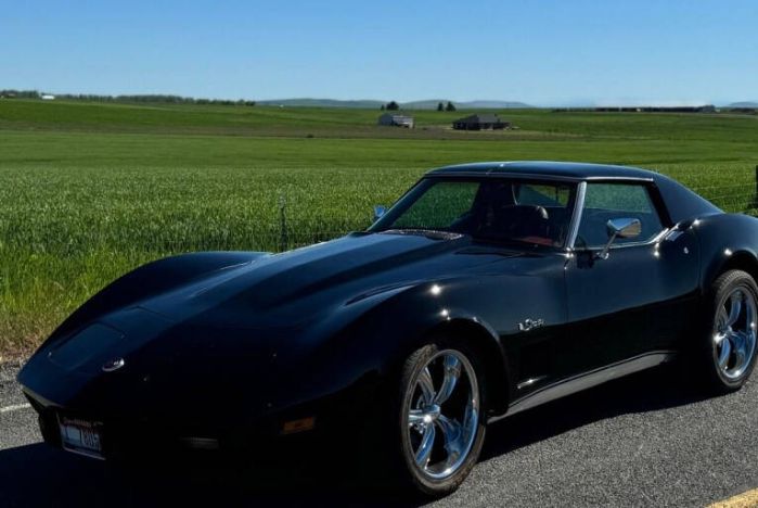 Chevrolet-Corvette-1976-Black-Dark-Red-14