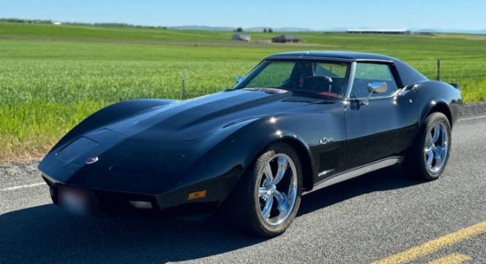 Chevrolet-Corvette-1976-Black-Dark-Red-16
