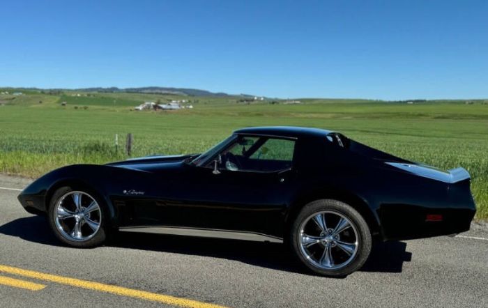 Chevrolet-Corvette-1976-Black-Dark-Red-17