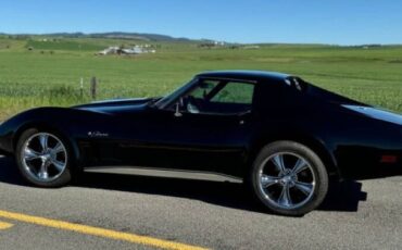 Chevrolet-Corvette-1976-Black-Dark-Red-19