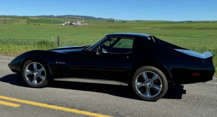Chevrolet-Corvette-1976-Black-Dark-Red-19
