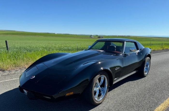 Chevrolet-Corvette-1976-Black-Dark-Red-2