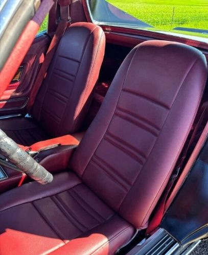Chevrolet-Corvette-1976-Black-Dark-Red-21