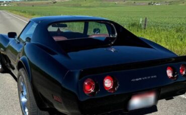 Chevrolet-Corvette-1976-Black-Dark-Red-3