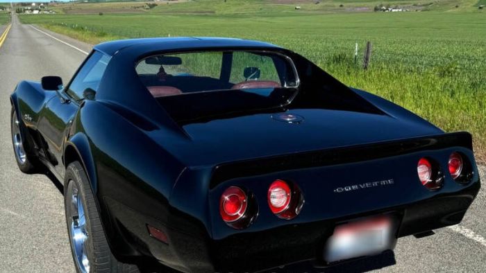 Chevrolet-Corvette-1976-Black-Dark-Red-3