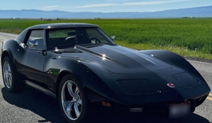 Chevrolet-Corvette-1976-Black-Dark-Red-9