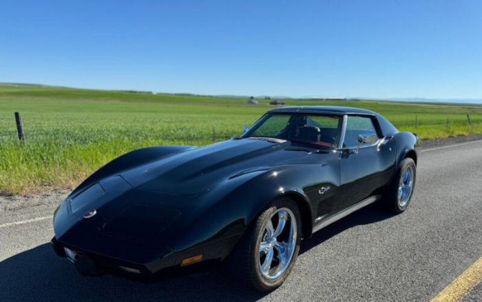 Chevrolet-Corvette-1976-Black-Dark-Red