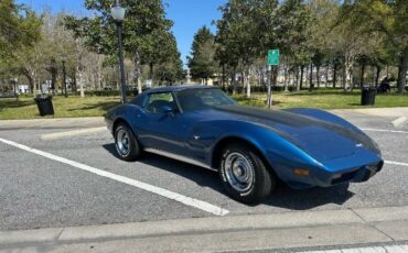 Chevrolet-Corvette-1976-Blue-12