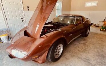 Chevrolet-Corvette-1976-Brown-Copper-4