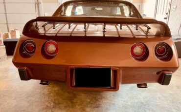 Chevrolet-Corvette-1976-Brown-Copper-8