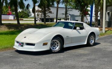 Chevrolet-Corvette-1976-Classic-White-Saddle-Brown-1