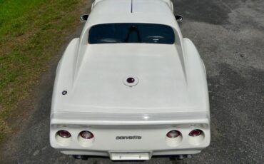 Chevrolet-Corvette-1976-Classic-White-Saddle-Brown-10