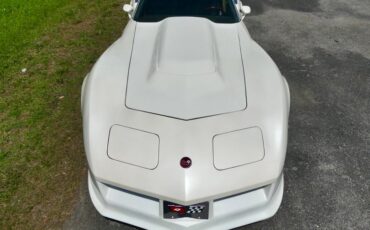 Chevrolet-Corvette-1976-Classic-White-Saddle-Brown-12