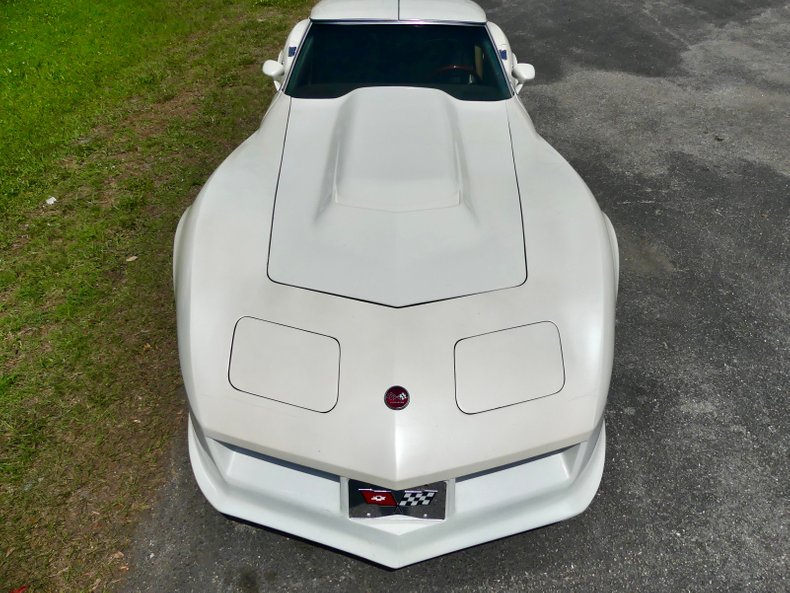 Chevrolet-Corvette-1976-Classic-White-Saddle-Brown-12