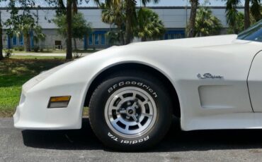 Chevrolet-Corvette-1976-Classic-White-Saddle-Brown-13