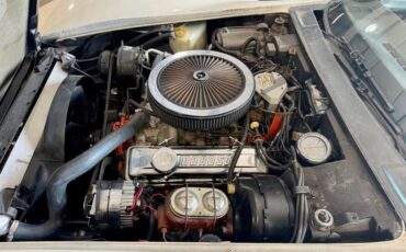 Chevrolet-Corvette-1976-Classic-White-Saddle-Brown-15