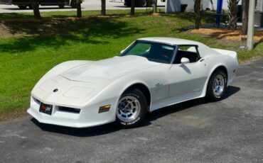 Chevrolet-Corvette-1976-Classic-White-Saddle-Brown-18