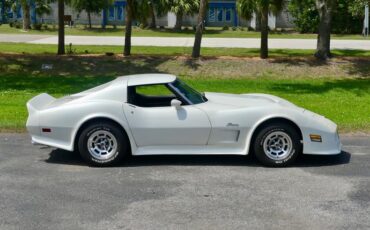 Chevrolet-Corvette-1976-Classic-White-Saddle-Brown-2