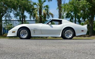 Chevrolet-Corvette-1976-Classic-White-Saddle-Brown-22
