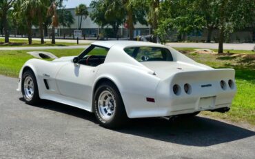 Chevrolet-Corvette-1976-Classic-White-Saddle-Brown-23