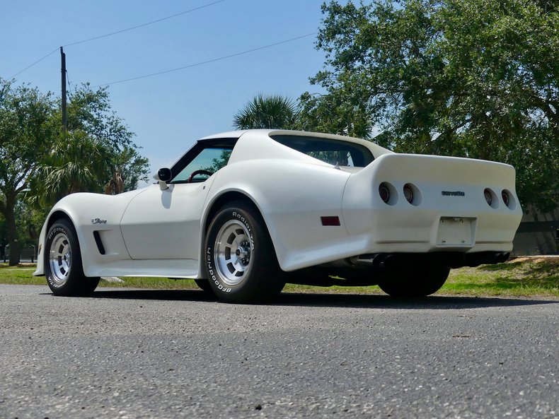 Chevrolet-Corvette-1976-Classic-White-Saddle-Brown-25