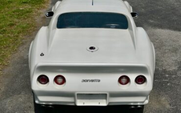 Chevrolet-Corvette-1976-Classic-White-Saddle-Brown-27