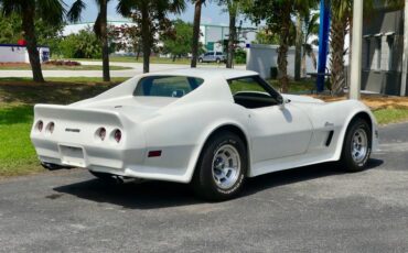 Chevrolet-Corvette-1976-Classic-White-Saddle-Brown-29
