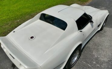Chevrolet-Corvette-1976-Classic-White-Saddle-Brown-3