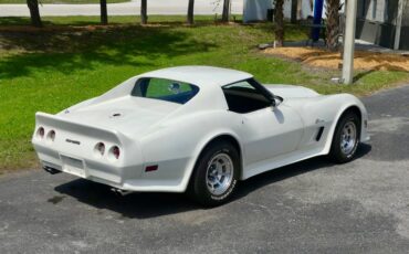 Chevrolet-Corvette-1976-Classic-White-Saddle-Brown-30