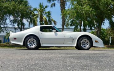Chevrolet-Corvette-1976-Classic-White-Saddle-Brown-31