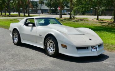 Chevrolet-Corvette-1976-Classic-White-Saddle-Brown-32