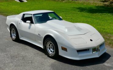 Chevrolet-Corvette-1976-Classic-White-Saddle-Brown-33