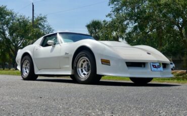 Chevrolet-Corvette-1976-Classic-White-Saddle-Brown-34