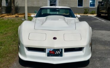 Chevrolet-Corvette-1976-Classic-White-Saddle-Brown-35