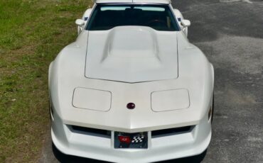 Chevrolet-Corvette-1976-Classic-White-Saddle-Brown-36